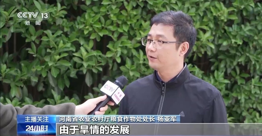 春意浓，农事兴 多地春耕春播有序进行中