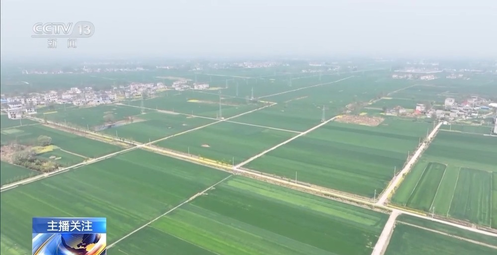 春意浓，农事兴 多地春耕春播有序进行中