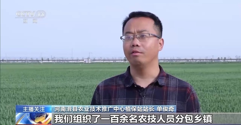 春意浓，农事兴 多地春耕春播有序进行中