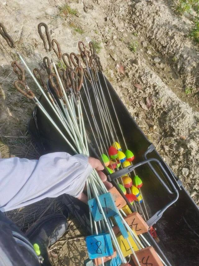 一斤能卖到上百元？杭州不少人下了班就去抓，最近好火