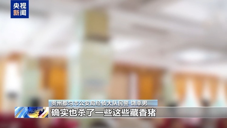 假养猪 真骗局 警惕披着“云养经济”外衣的非法集资 假养猪 真骗局 警惕披着“云养经济”外衣的非法集资