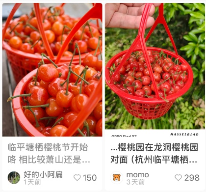 40元/斤!浙江人爱吃的美味,刚刚上市!今年大幅减产,价格还要变! 40元/斤!浙江人爱吃的美味,刚刚上市!今年大幅减产,价格还要变!