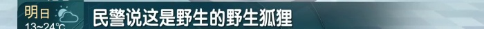 凌晨确认死亡！前一天在上海小区出现，居民胆战心惊，专家紧急提醒