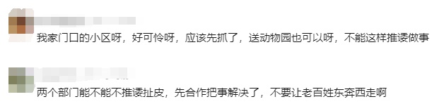 凌晨确认死亡！前一天在上海小区出现，居民胆战心惊，专家紧急提醒