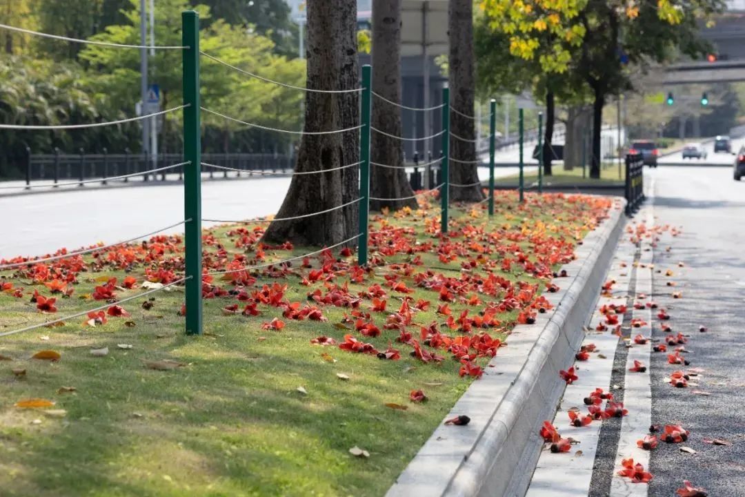 不要吃!不要捡!近期正大量出现 不要吃!不要捡!近期正大量出现