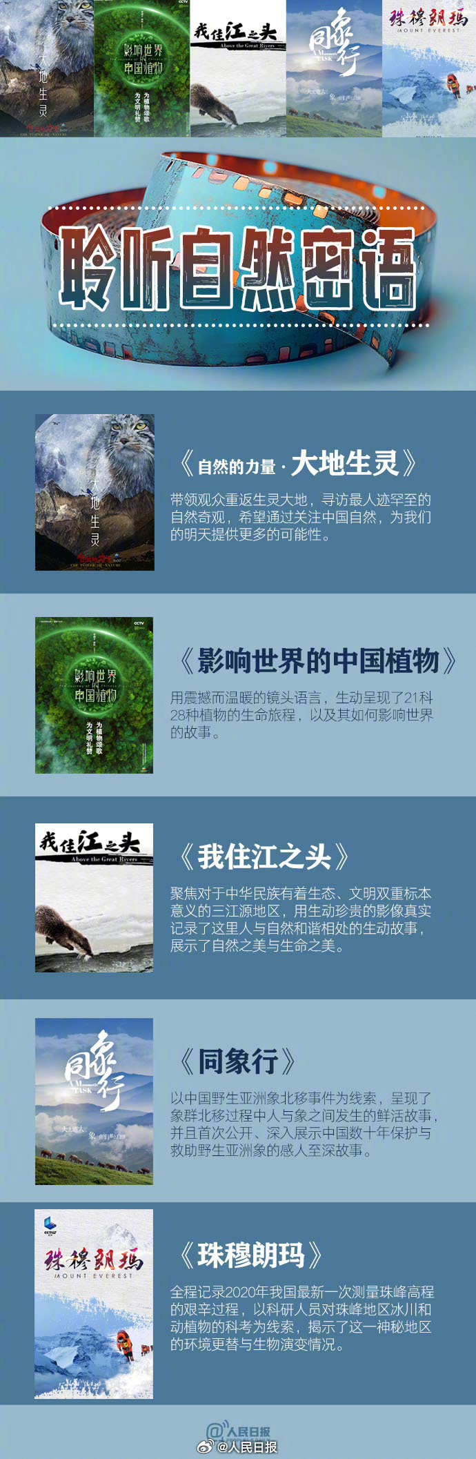 囤起来！适合假期看的宝藏纪录片