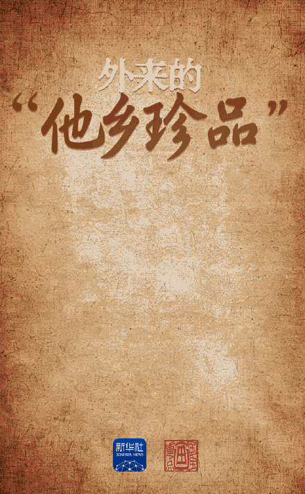 探秘青藏高原湖畔的史前生活