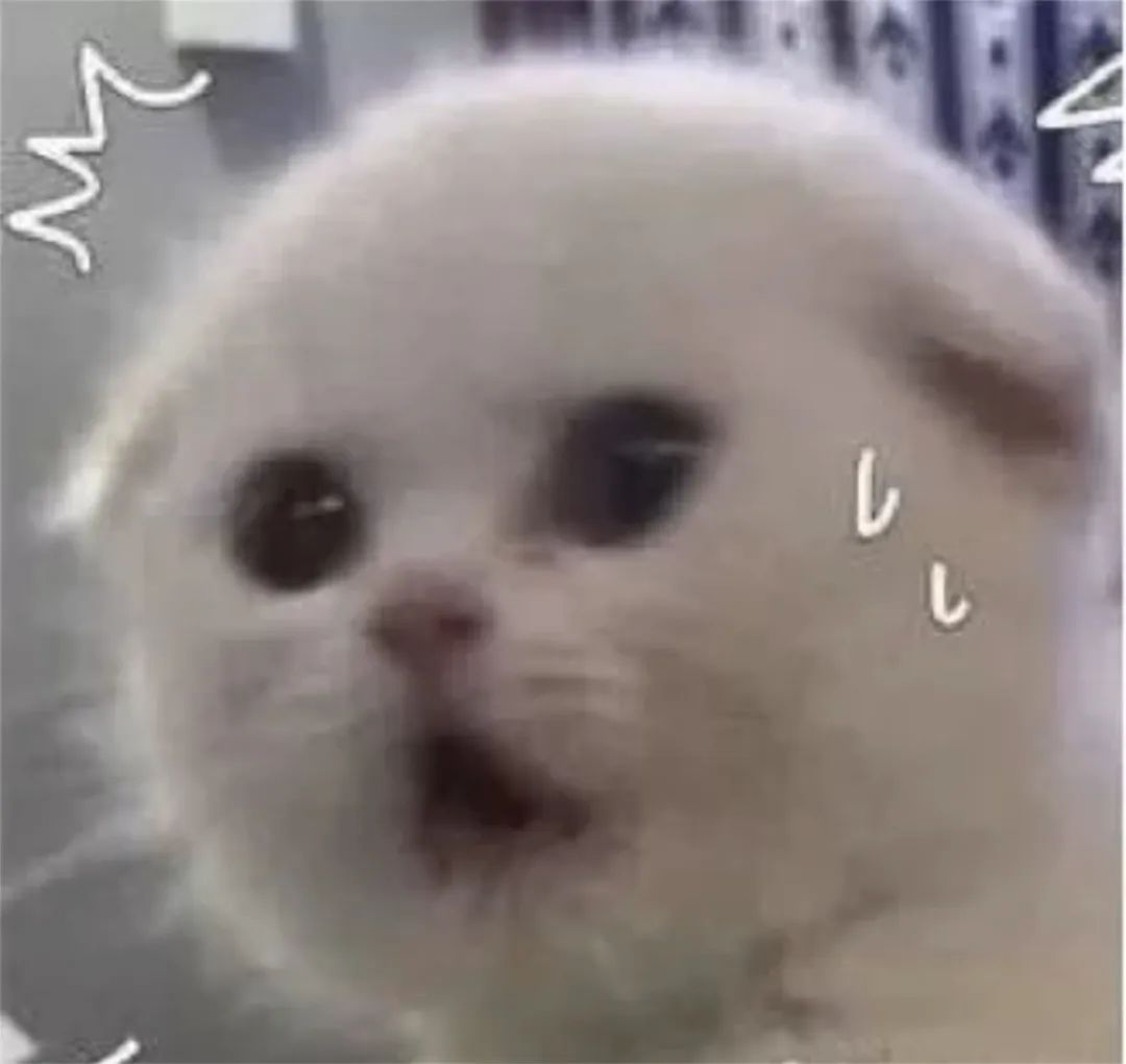 事关《哪吒2》票房,上海开出罚单!影迷怒了:"背刺"的竟是自己人! 事关《哪吒2》票房,上海开出罚单!影迷怒了:"背刺"的竟是自己人!