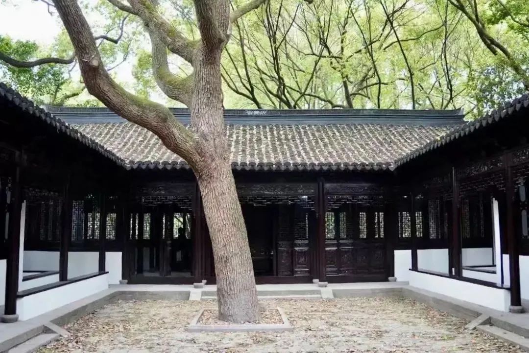 焕新归来!上海知名景点完成修缮,5月1日正式开放 焕新归来!上海知名景点完成修缮,5月1日正式开放