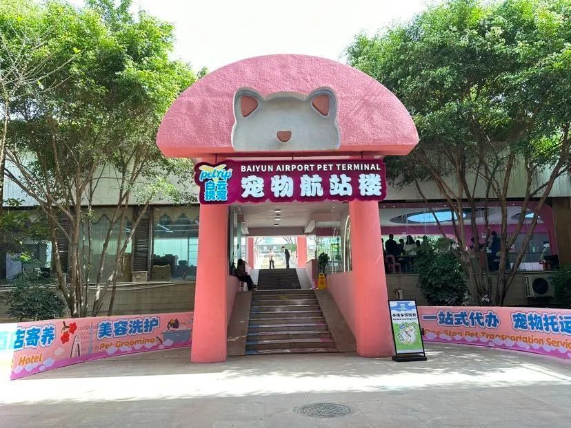 拿捏年轻人的爱好，这个行业持续火热，95后小哥靠它月入超2万