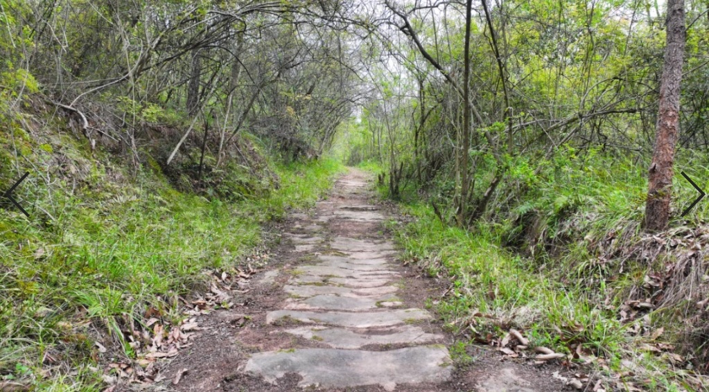 蜀道考古调查，有新发现！