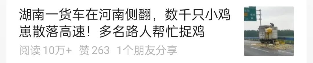 车辆侧翻致大量小鸡散落高速的湖南司机回应:损失四万元左右,感谢好心人帮忙 车辆侧翻致大量小鸡散落高速的湖南司机回应:损失四万元左右,感谢好心人帮忙