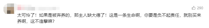 凌晨确认死亡！前一天在上海小区出现，居民胆战心惊，专家紧急提醒