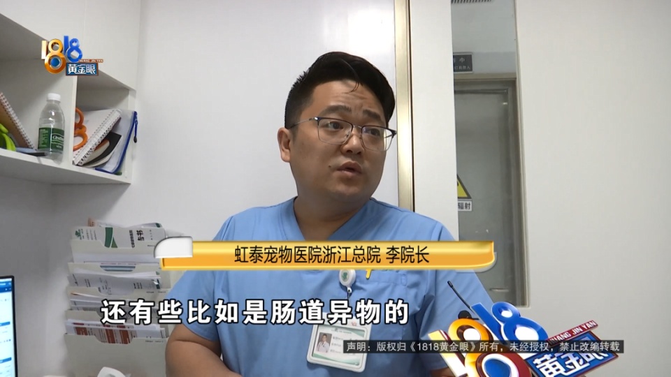 医院说是胃炎，后来是肠梗阻，宠主：我七天七夜没有睡