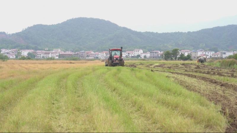 江西南昌：“旱播”新机具让早稻生产提质增效