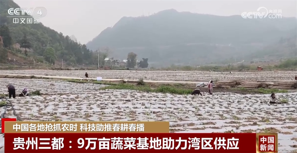 各地“新”潮澎湃勾勒绚丽“科技春耕图” 为丰产增收开好“局” 各地“新”潮澎湃勾勒绚丽“科技春耕图” 为丰产增收开好“局”