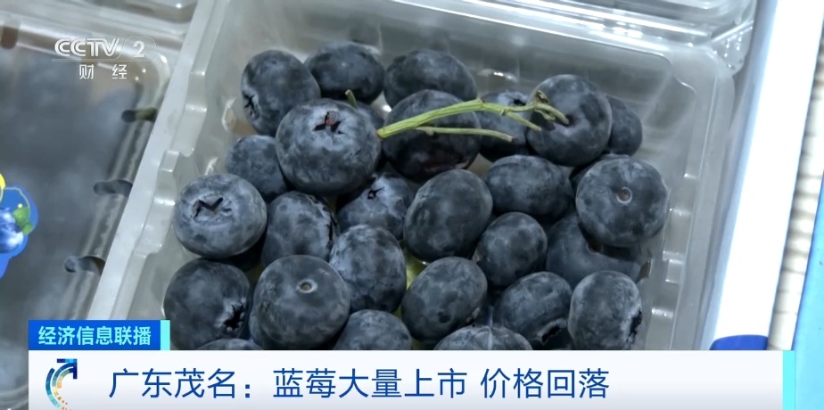 蓝莓价格“腰斩”！每天吃一盒会发生什么？