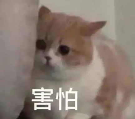 睡前忘拔这根线，家差点烧了！当事人现身说法……