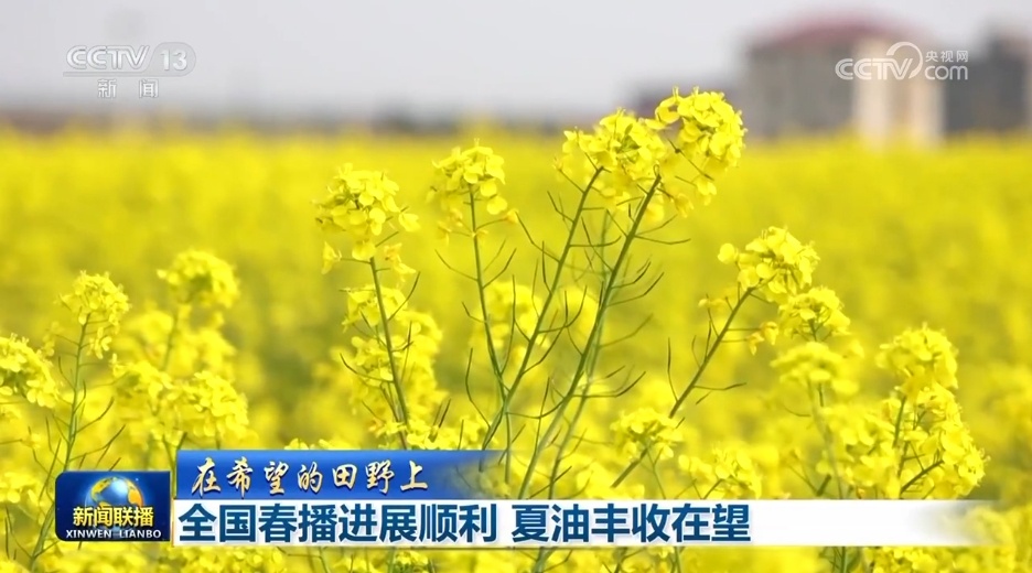 各领域开局良好、外资企业一投再投……多侧面透视中国经济强劲动力 各领域开局良好、外资企业一投再投……多侧面透视中国经济强劲动力