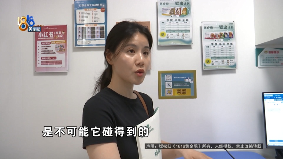 医院说是胃炎，后来是肠梗阻，宠主：我七天七夜没有睡