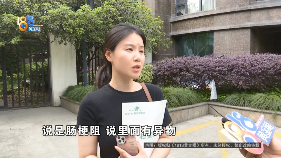医院说是胃炎，后来是肠梗阻，宠主：我七天七夜没有睡