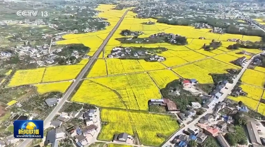 各领域开局良好、外资企业一投再投……多侧面透视中国经济强劲动力 各领域开局良好、外资企业一投再投……多侧面透视中国经济强劲动力