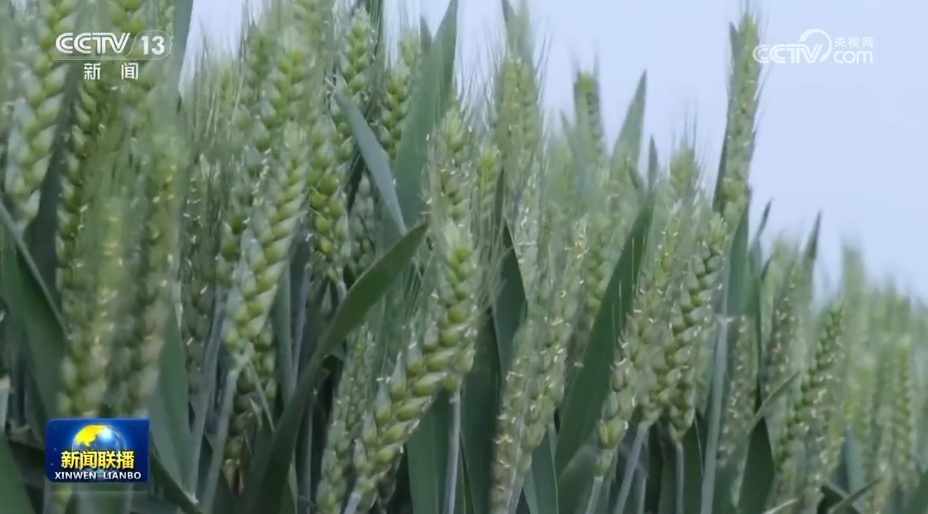 各领域开局良好、外资企业一投再投……多侧面透视中国经济强劲动力 各领域开局良好、外资企业一投再投……多侧面透视中国经济强劲动力