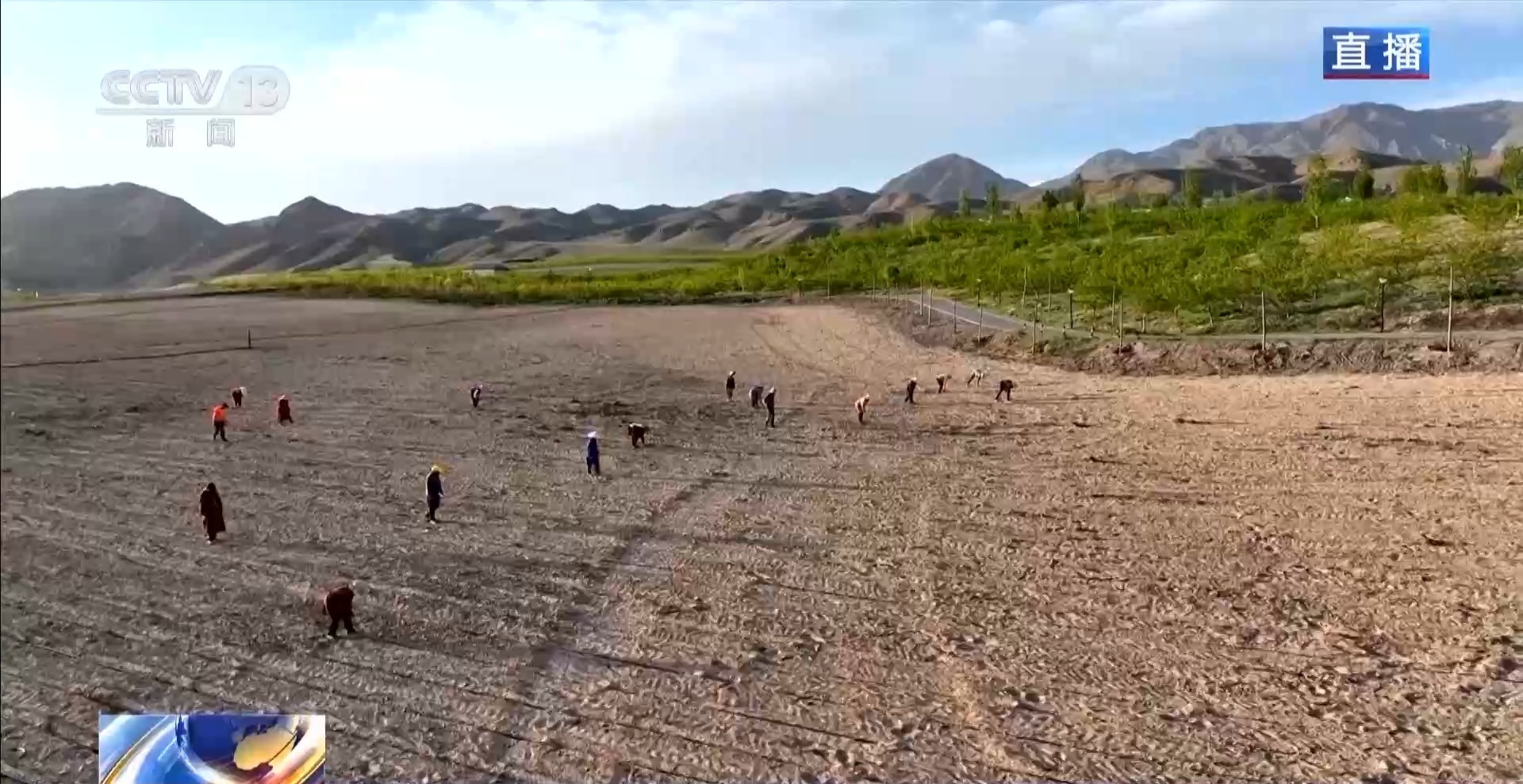 从戈壁荒山到天山花海 卫星视角“瞰”生态巨变