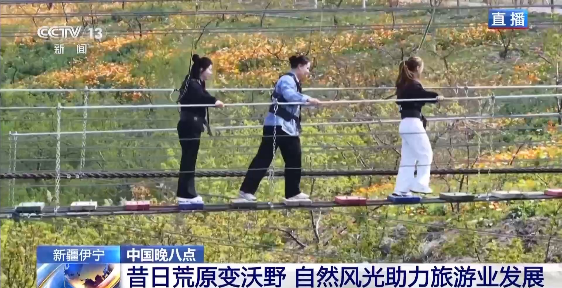 从戈壁荒山到天山花海 卫星视角“瞰”生态巨变