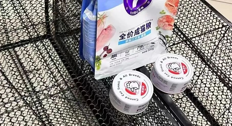 “捉迷藏”十几次!北京地铁6号线的被困小猫获救了,网友起名:“小常营” “捉迷藏”十几次!北京地铁6号线的被困小猫获救了,网友起名:“小常营”