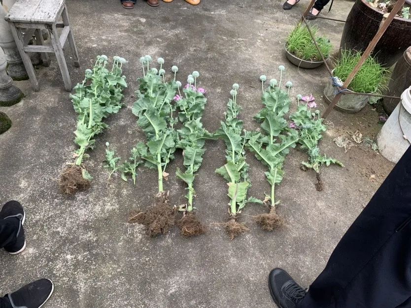 这天，民警送来了两份“匿名”奖状……