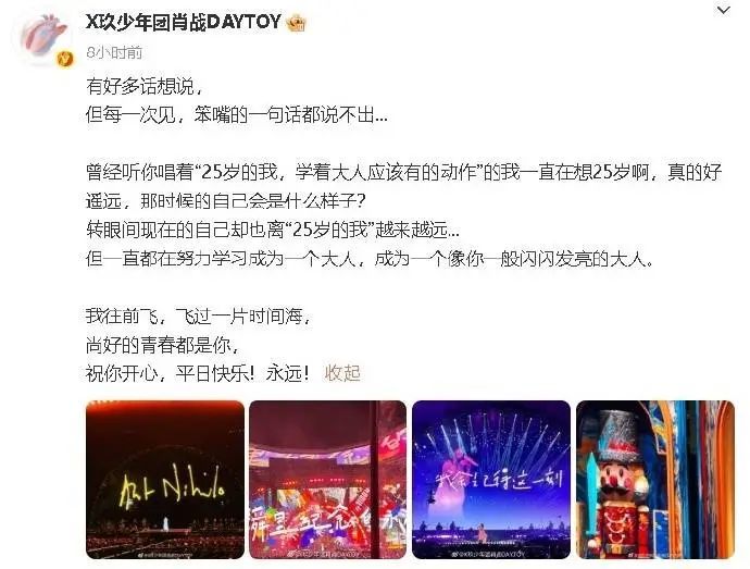 肖战晒看孙燕姿演唱会观后感：尚好的青春都是你
