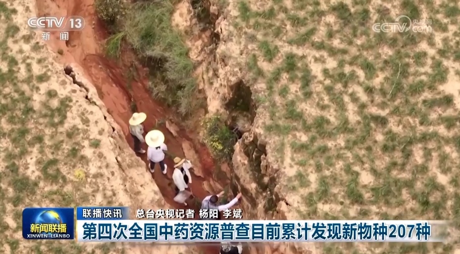 各领域开局良好、外资企业一投再投……多侧面透视中国经济强劲动力 各领域开局良好、外资企业一投再投……多侧面透视中国经济强劲动力