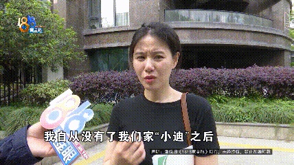 医院说是胃炎，后来是肠梗阻，宠主：我七天七夜没有睡