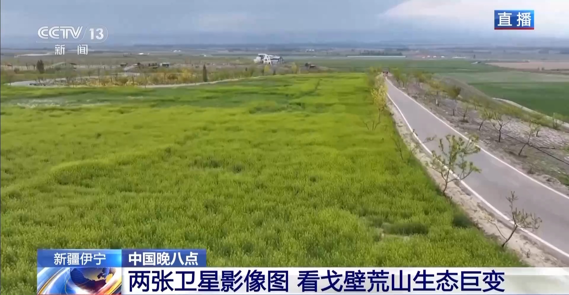 从戈壁荒山到天山花海 卫星视角“瞰”生态巨变