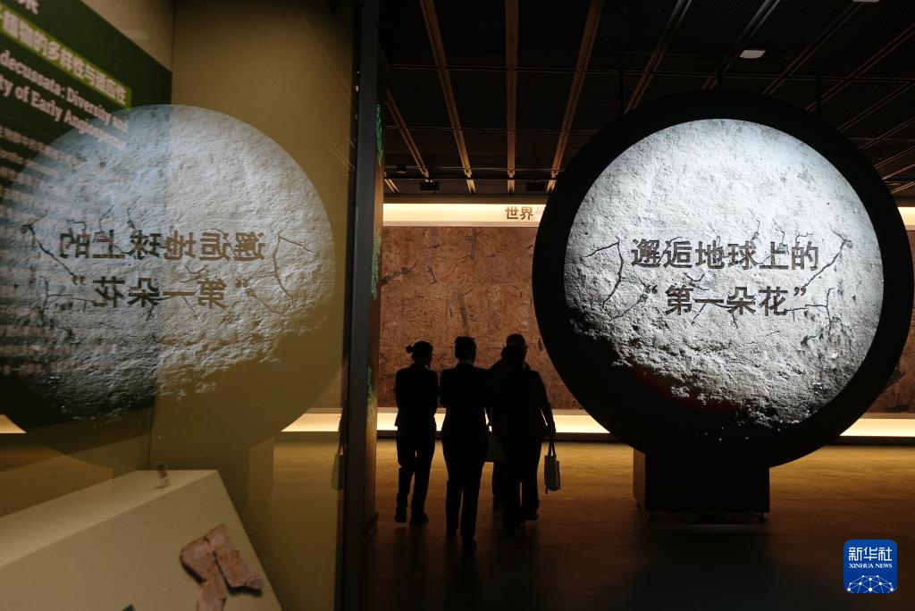 探访辽宁朝阳古生物化石博物馆