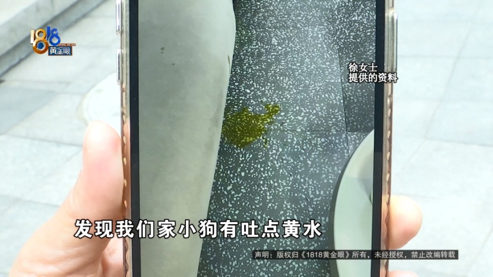 医院说是胃炎，后来是肠梗阻，宠主：我七天七夜没有睡