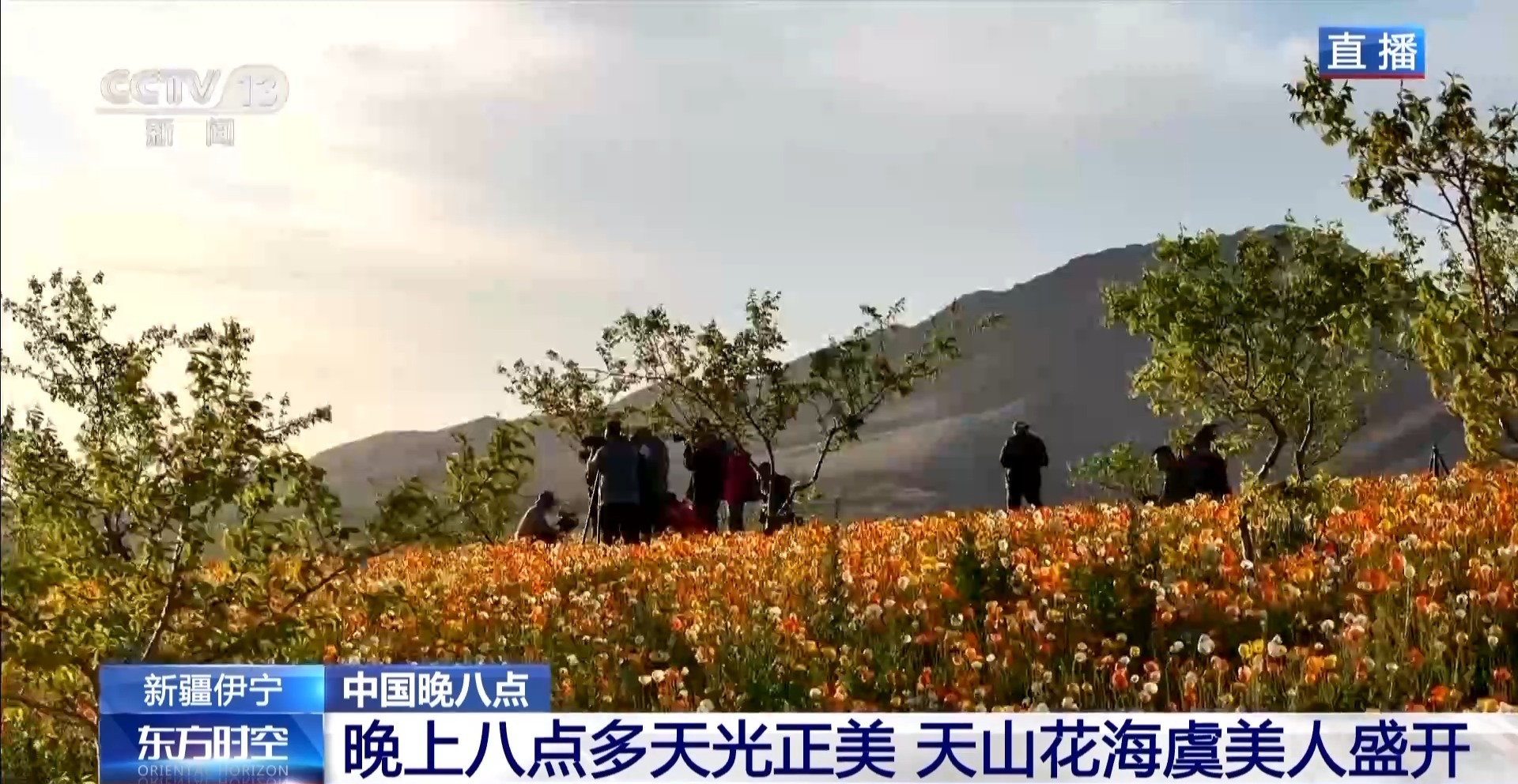 从戈壁荒山到天山花海 卫星视角“瞰”生态巨变