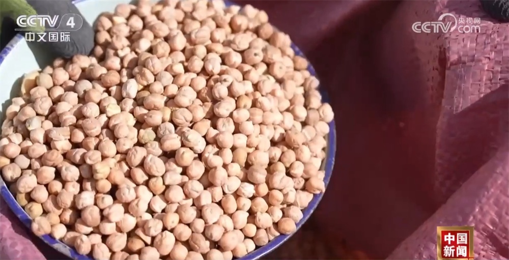 各地“新”潮澎湃勾勒绚丽“科技春耕图” 为丰产增收开好“局” 各地“新”潮澎湃勾勒绚丽“科技春耕图” 为丰产增收开好“局”