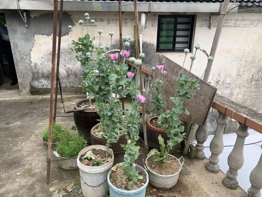 这天，民警送来了两份“匿名”奖状……