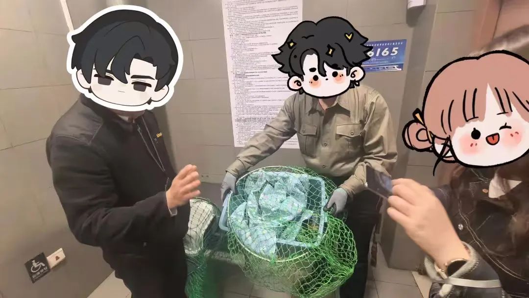 地铁6号线被困小猫获救了！网友起名：“小常营”