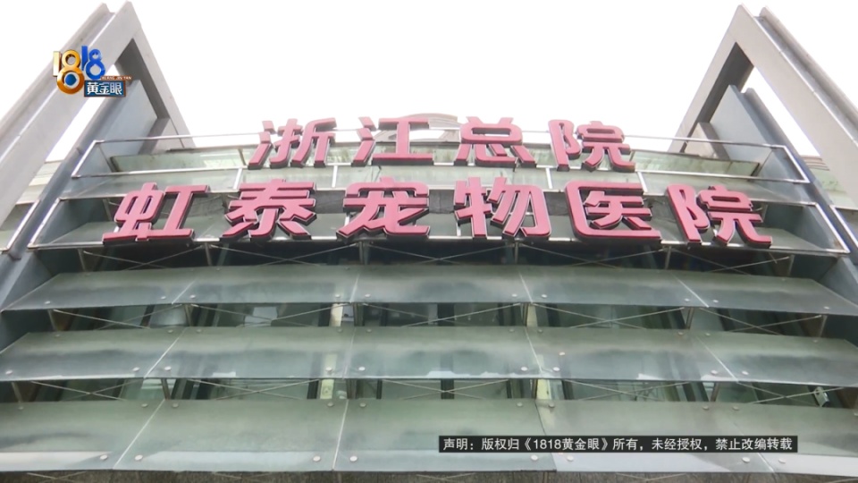 医院说是胃炎，后来是肠梗阻，宠主：我七天七夜没有睡