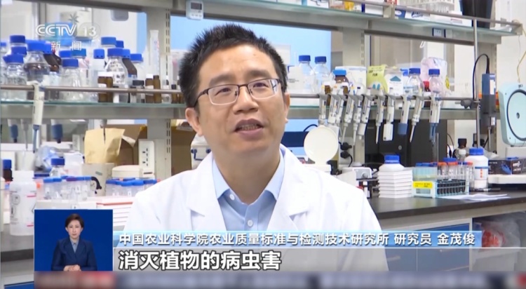 买菜用蓝光笔检测农残?不靠谱!荧光物质的多少其实与果蔬新鲜程度有关 买菜用蓝光笔检测农残?不靠谱!荧光物质的多少其实与果蔬新鲜程度有关