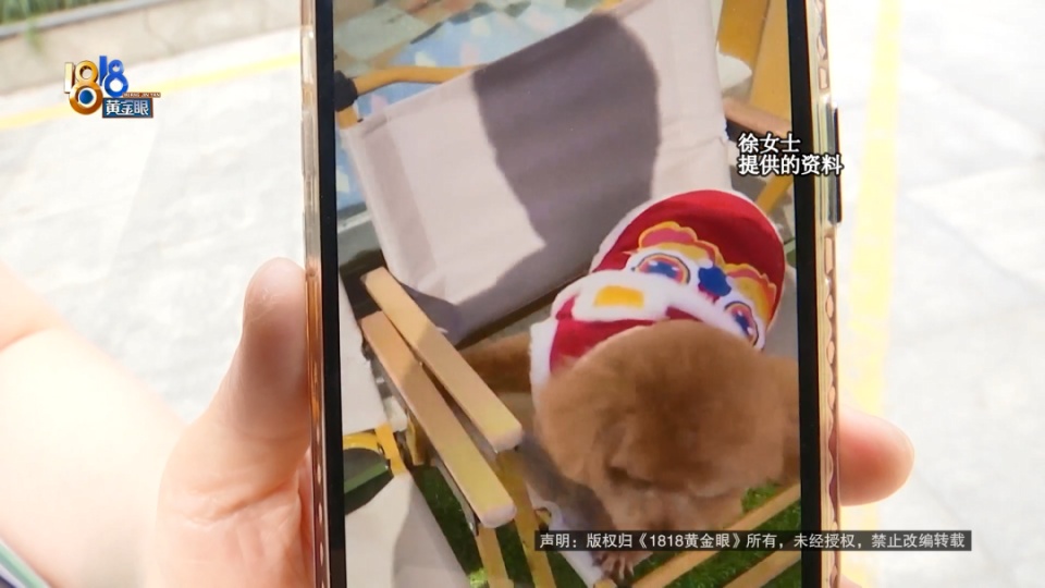 医院说是胃炎，后来是肠梗阻，宠主：我七天七夜没有睡