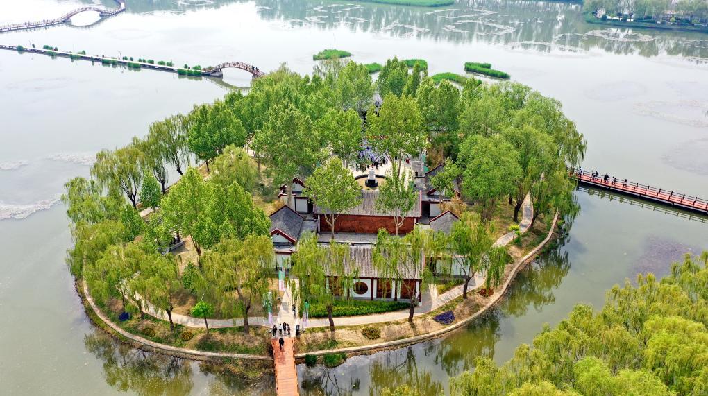 荷花淀派文学馆开馆 雄安新区再添文化名片