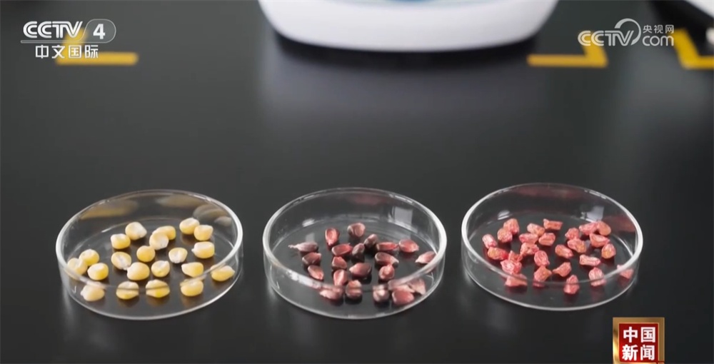 各地“新”潮澎湃勾勒绚丽“科技春耕图” 为丰产增收开好“局” 各地“新”潮澎湃勾勒绚丽“科技春耕图” 为丰产增收开好“局”