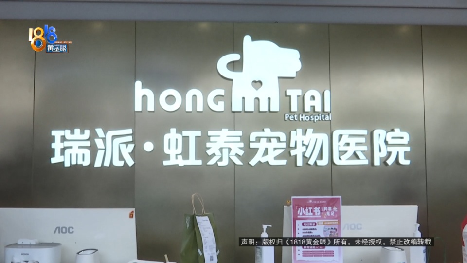 医院说是胃炎，后来是肠梗阻，宠主：我七天七夜没有睡