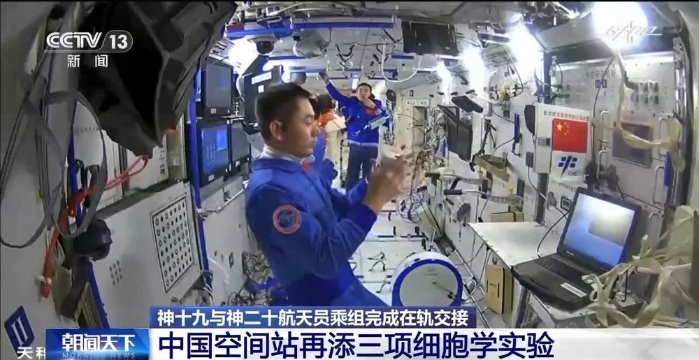 “神舟家族”六次在轨传递“接力棒” 中国空间站再添三项细胞学实验 “神舟家族”六次在轨传递“接力棒” 中国空间站再添三项细胞学实验