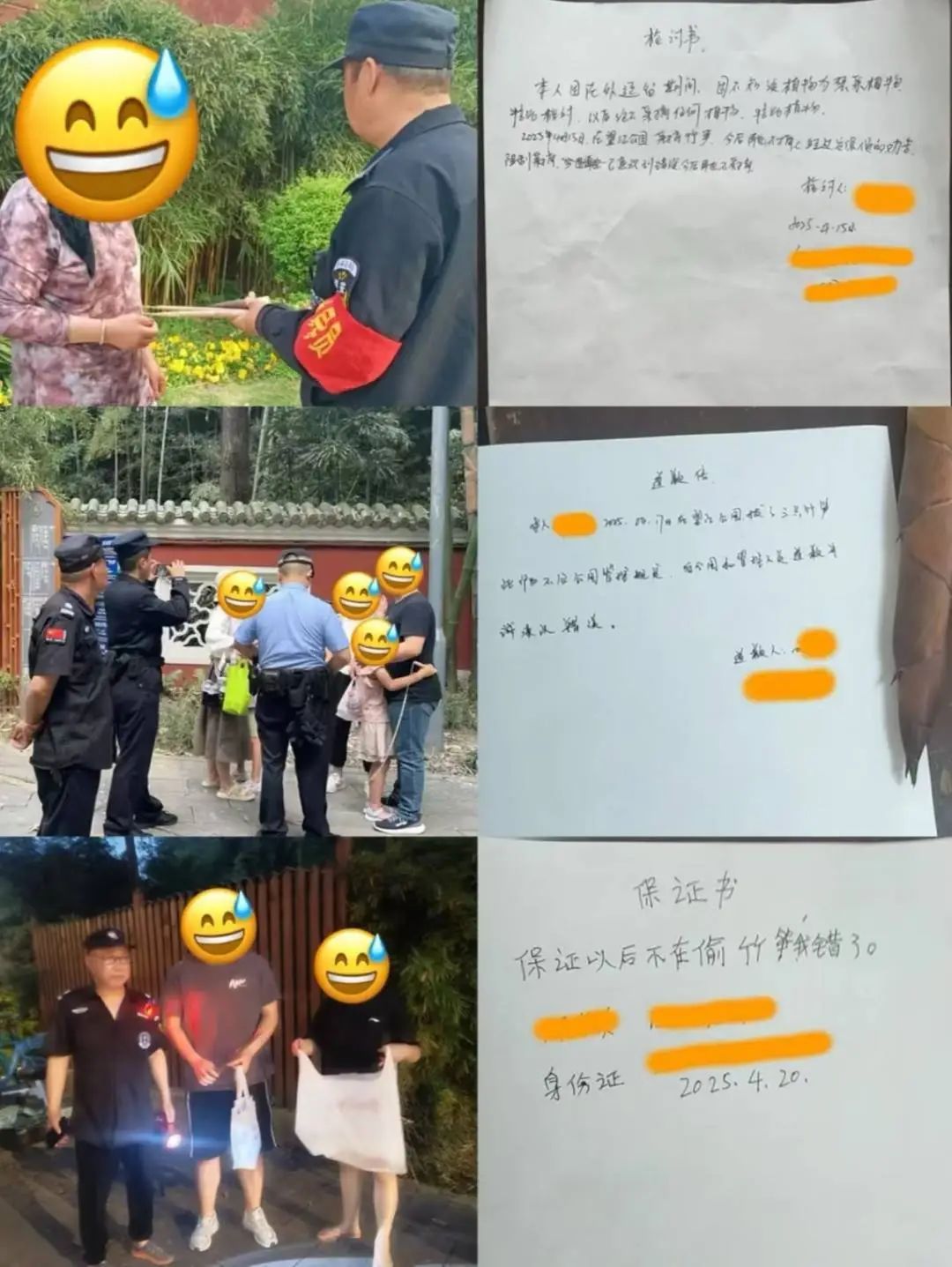 把公园当自家“菜地”偷挖竹笋,致恢复期竹林再遭重创?官方回应 把公园当自家“菜地”偷挖竹笋,致恢复期竹林再遭重创?官方回应