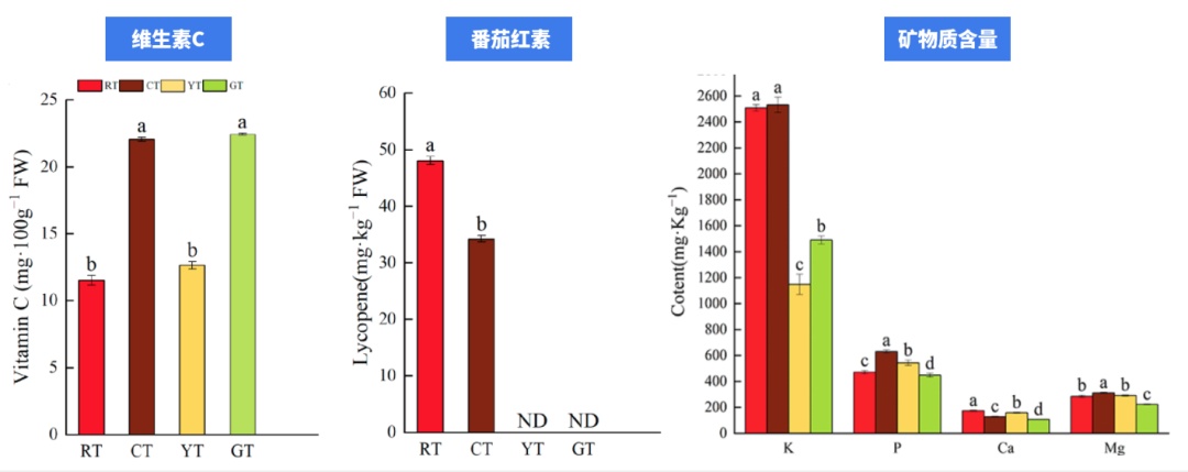 “天选减肥果”竟是它!低卡高纤还美味,多吃不怕胖 “天选减肥果”竟是它!低卡高纤还美味,多吃不怕胖